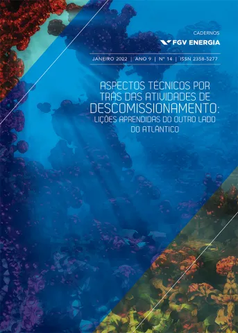 Imagem de "Descomissionamento | Aspectos técnicos por trás das atividades de descomissionamento: Lições aprendidas do outro lado do Atlântico"