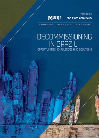 Imagem de "Decomissioning in Brazil - English edition"