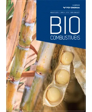 Imagem de "Caderno de Biocombustíveis"