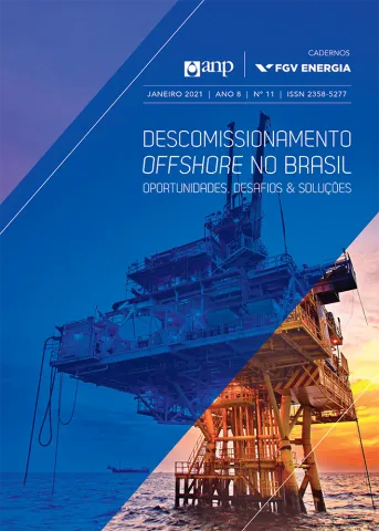 Imagem de "Descomissionamento Offshore no Brasil"