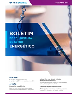 Imagem de "Boletim de Conjuntura - Dezembro/2018"
