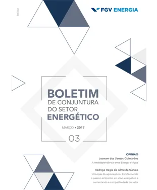 Imagem de "Boletim de Conjuntura - Março/2017"
