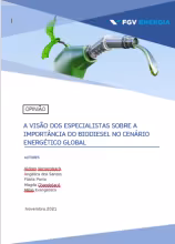 Imagem de "A visão dos Especialistas sobre a Importância do Biodiesel no Cenário Energético Global"