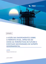 Imagem de "A visão das independentes sobre o momento atual, impactos do COVID-19, perspectivas de futuro e eventuais necessidades de suporte governamental"