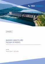 Imagem de "Quando jabutis não passam de bodes"