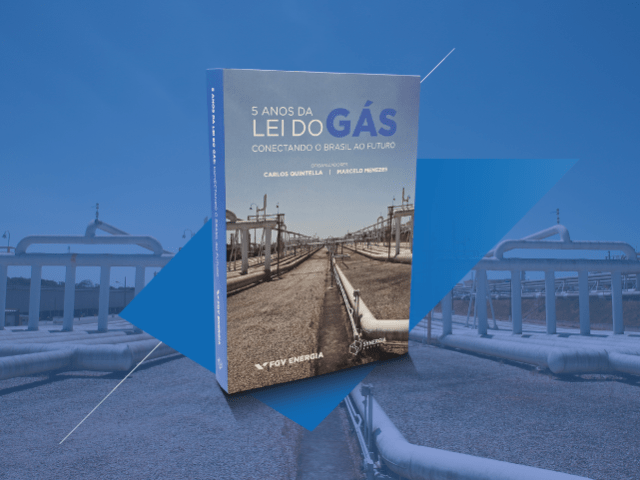 livro lei do gás
