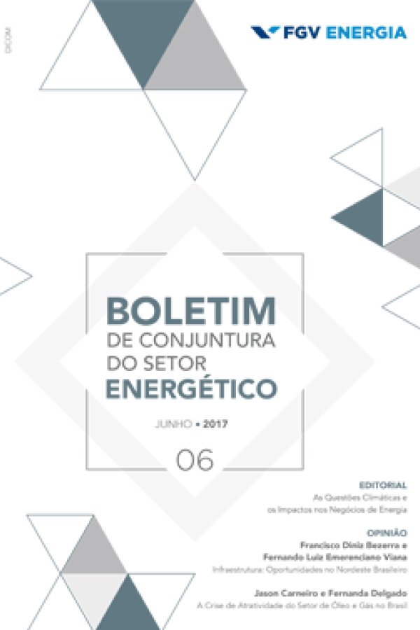 Imagem de "Boletim de Conjuntura - Junho/2017"