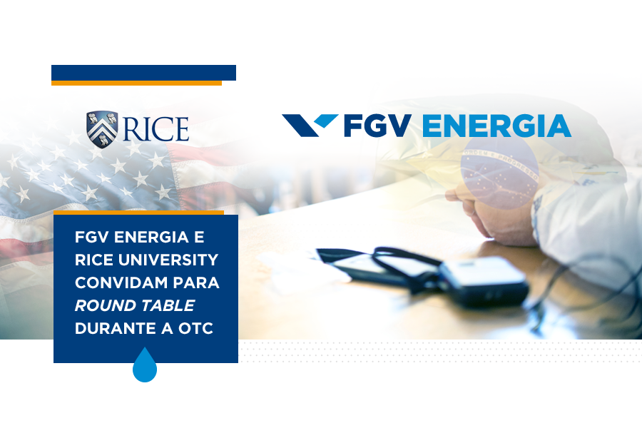 Imagem de "Round Table - Rice University e FGV Energia"