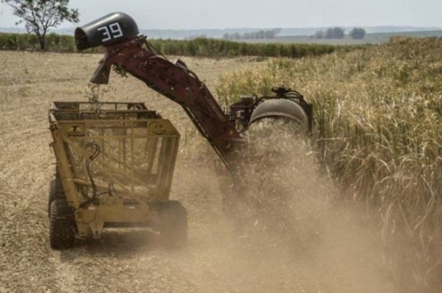 Cana-de-açúcar pode ser usada na produção de biocombustível. Foto: Paulo Fridman/Bloomberg